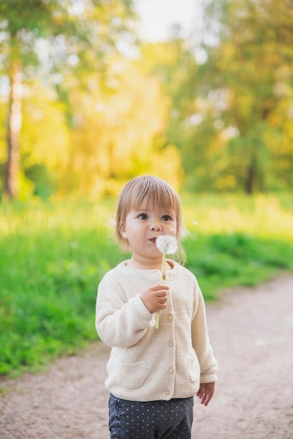 Bel bambino che soffia su un dente di leone nel parco al tramonto