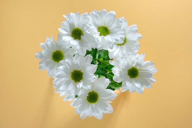 Bel bouquet di margherite su sfondo giallo Crisantemo bianco vista dall'alto Concetto di bellezza