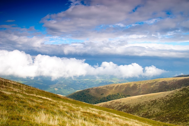 Bel cielo blu ed erba verde e foresta nelle montagne dei Carpazi