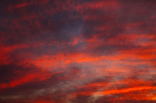 Bel cielo colorato luminoso. Foto scattata al tramonto. Sfondo rosso-arancio con belle vernici. Alba rara. Composizione naturale