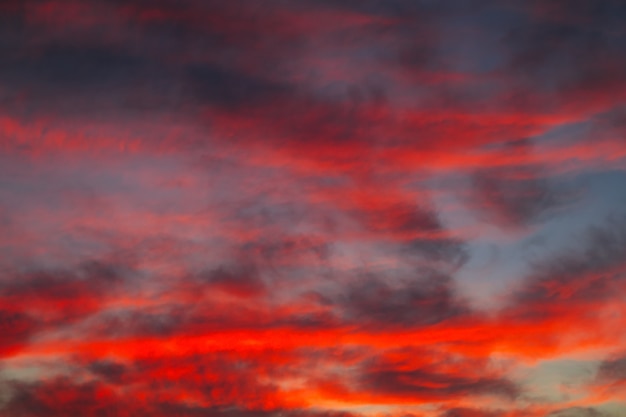 Bel cielo colorato luminoso. Foto scattata al tramonto. Sfondo rosso-arancio con belle vernici. Alba rara. Composizione naturale
