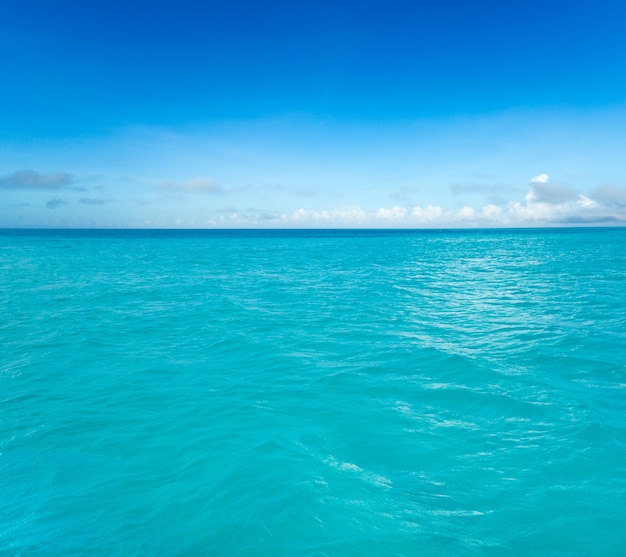 Bel cielo e mare blu. spiaggia