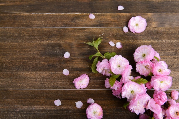 Bel fiore di frutta su sfondo di legno