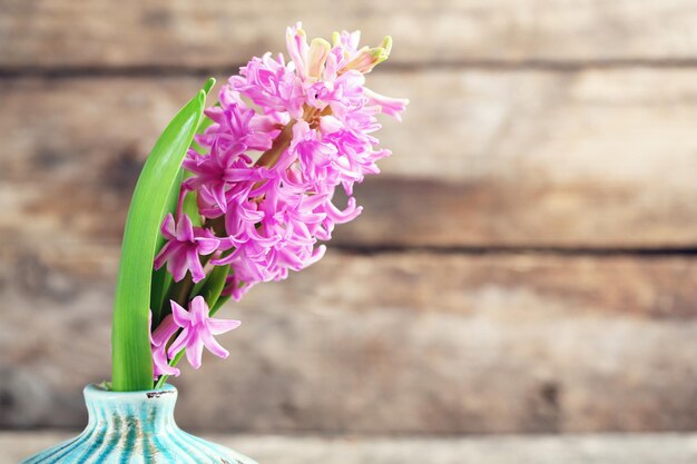 Bel fiore di giacinto in vaso su sfondo di legno