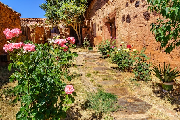 Bel giardino della vecchia casa con piante e fiori colorati all'ingresso.