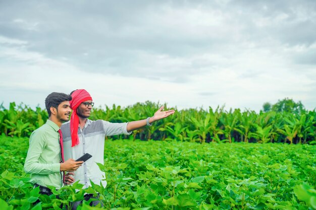 Bel giovane agronomo e agricoltore ispezionando il campo di cotone con tablet