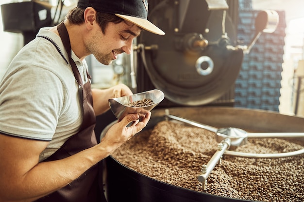 Bel giovane in grembiule che guarda i chicchi di caffè appena tostati e sorride mentre è in piedi accanto alla macchina per la torrefazione del caffè