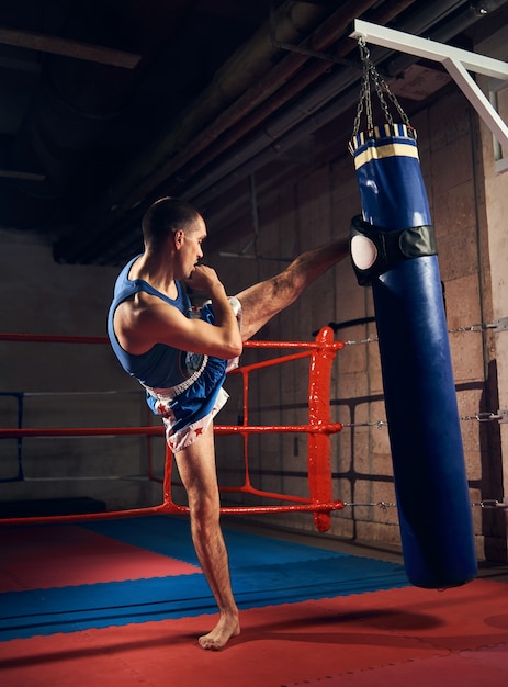 Bel kick boxer allenamento calci e punchball boxing