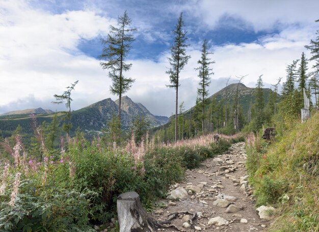 Bel paesaggio con un sentiero escursionistico e montagne sullo sfondo in una giornata di sole limpido