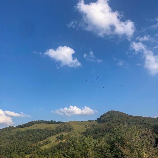 Bel paesaggio con verdi colline e cielo blu