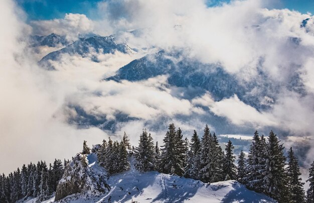 Bel paesaggio invernale Viaggio Avventura Natura Bel paesaggio