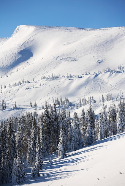 Bel paesaggio invernale