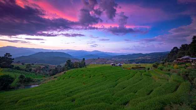 Bel paesaggio. Risaie al villaggio di Pa Pong Pieng, Mae Chaem, Chiang Mai, Tailandia.