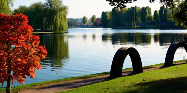 Bel parco cittadino vicino al lago