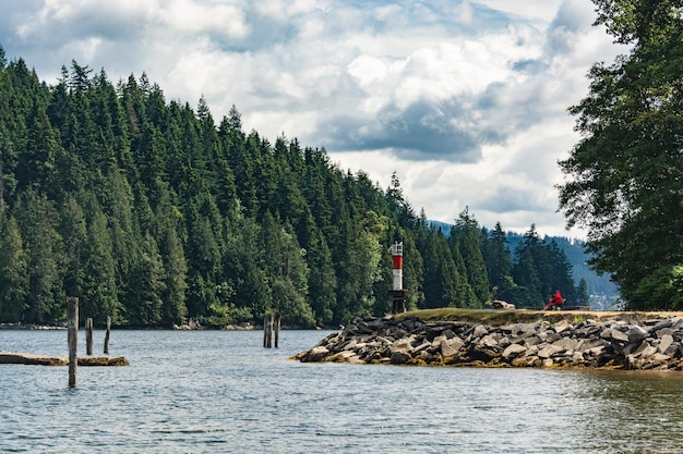 Bel posto con la panchina su una riva della baia dell'Oceano Pacifico