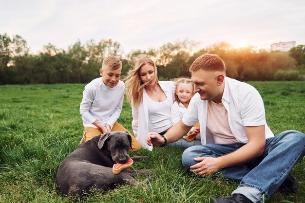 Bel sole Cane carino La famiglia ha un fine settimana all'aperto in estate insieme