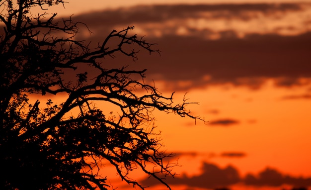 Bel tramonto con colori arancioni