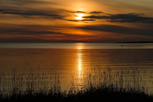 Bel tramonto con erba sopra il Mar Bianco.