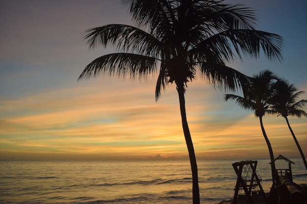 Bel tramonto e palme da cocco