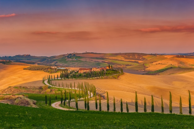 Bel tramonto su colline e cipressi dalla strada, paesaggi della Toscana