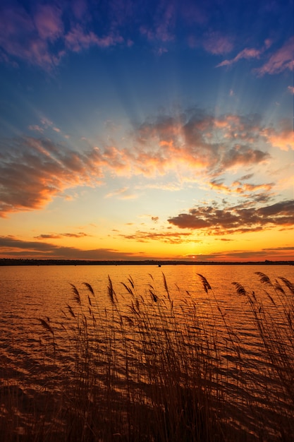 Bel tramonto sul fiume con canne in primo piano. Telaio verticale