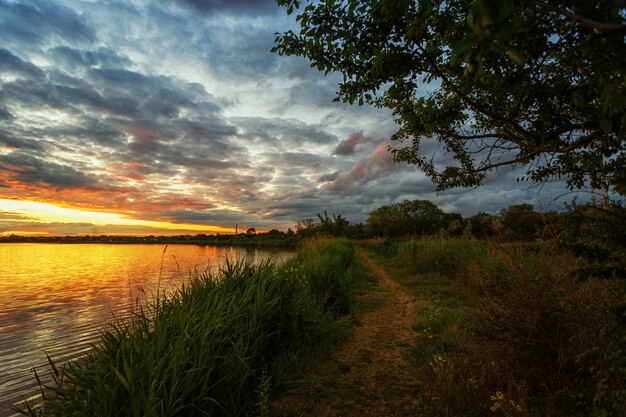 Bel tramonto sul fiume, con effetto morbido, subito dopo il tramonto, con un sentiero lungo la riva, un albero in primo piano e alberi in lontananza