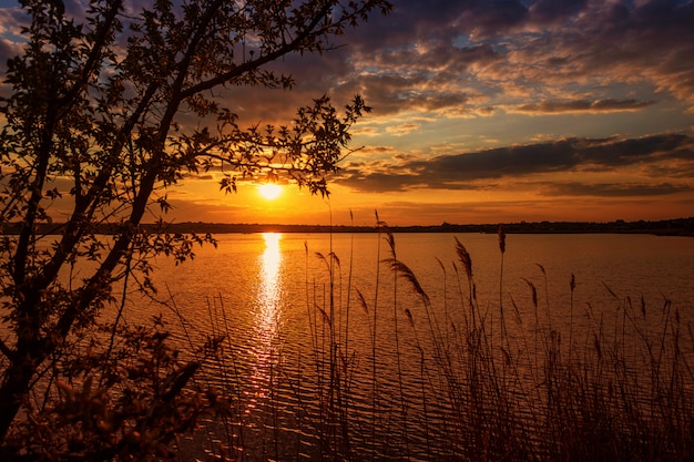 Bel tramonto sul fiume con i rami degli alberi in primo piano