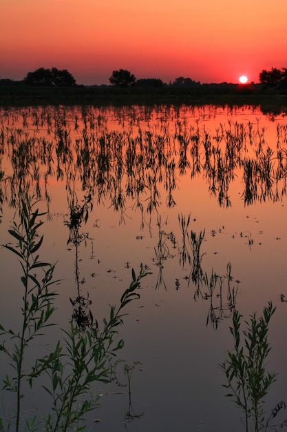 Bel tramonto sul fiume nella campagna primaverile