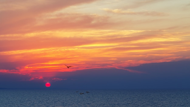 Bel tramonto sulla costa del mare