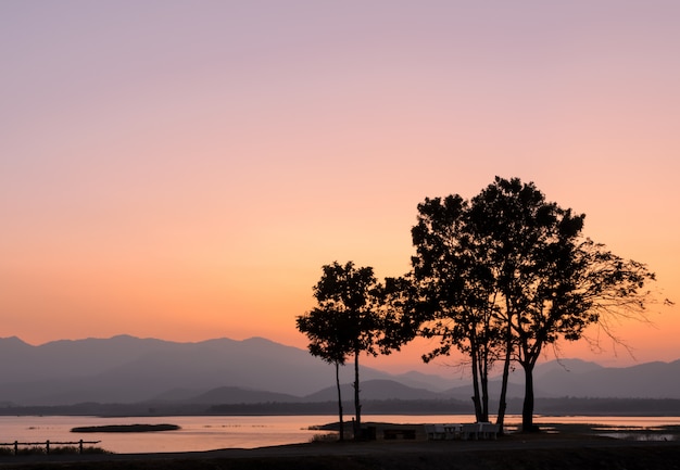 Bel tramonto sulla montagna con alberi