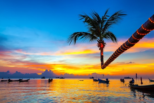 Bel tramonto sulla spiaggia, Koh Tao, Thailandia