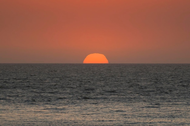 Bel tramonto sulla spiaggia uruguaiana con piante in primo piano