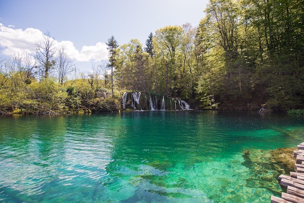 Bella acqua verde del lago di Plitvicka