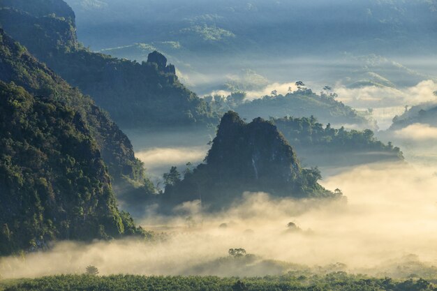 Bella alba del luogo di viaggio con nebbia mattutina al parco nazionale di Phu Langka nella provincia di Phayao