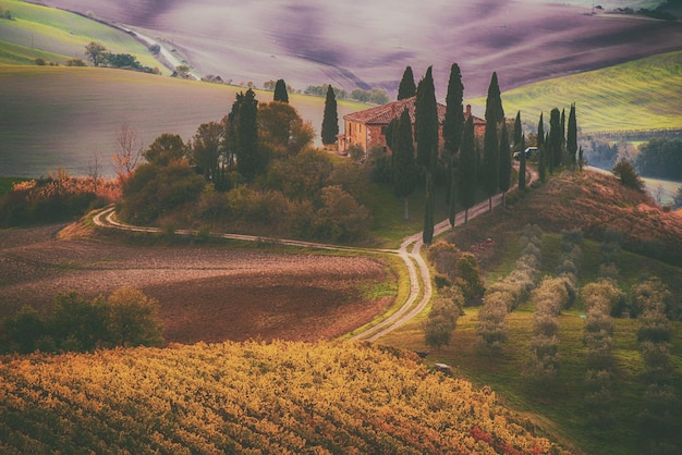 Bella alba dorata in Toscana, Italia con vigneto. Sfondo autunnale stagionale idilliaco naturale