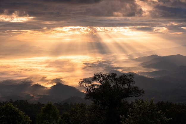 Bella alba drammatica che splende sulla montagna con nebbia nella valle del parco nazionale Doi Dam Wiang Haeng Chiang Mai Thailandia