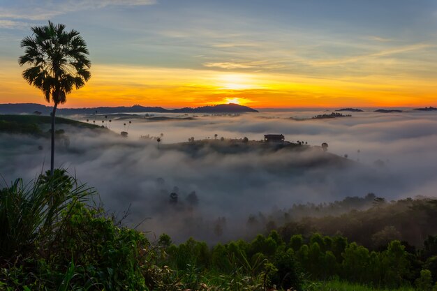 Bella alba e la foschia a Khao Kho, provincia di Phetchabun, Tailandia.