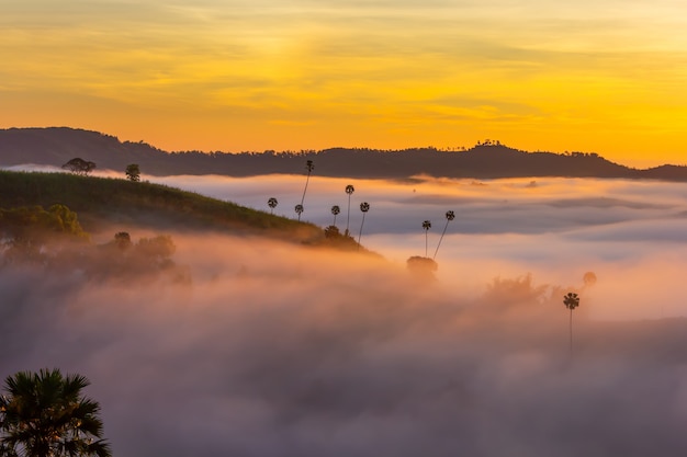 Bella alba e la foschia a Khao Kho, provincia di Phetchabun, Tailandia.