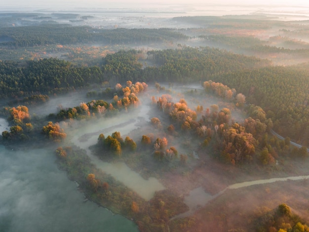 Bella alba nebbiosa in primavera sul fiume