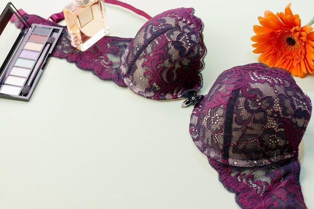 Bella biancheria intima da donna in pizzo bordeaux