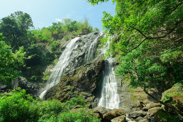 Bella cascata che scorre da un'alta scogliera.