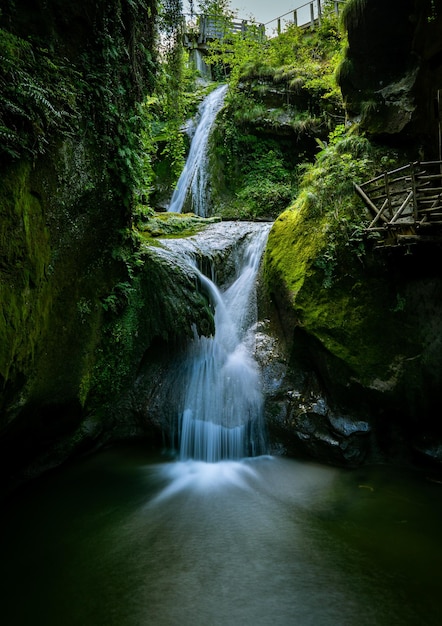 Bella cascata dalle rocce in una foresta