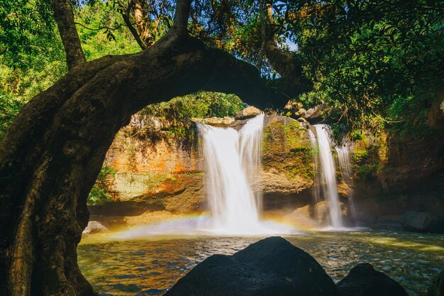 Bella cascata di Haew Suwat al parco nazionale di Khao Yai in Thailandia