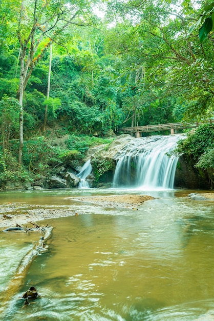 bella cascata di Mae Sa a Chiang Mai, Thailandia