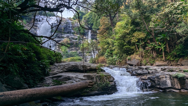 Bella cascata in montagna di vegetazione verde in Thailandia