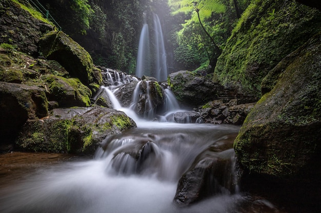 Bella cascata nebbiosa sulla foresta