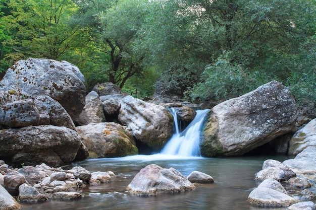 Bella cascata nel Forrest