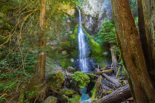 Bella cascata nell'isola di Vancouver, Canada