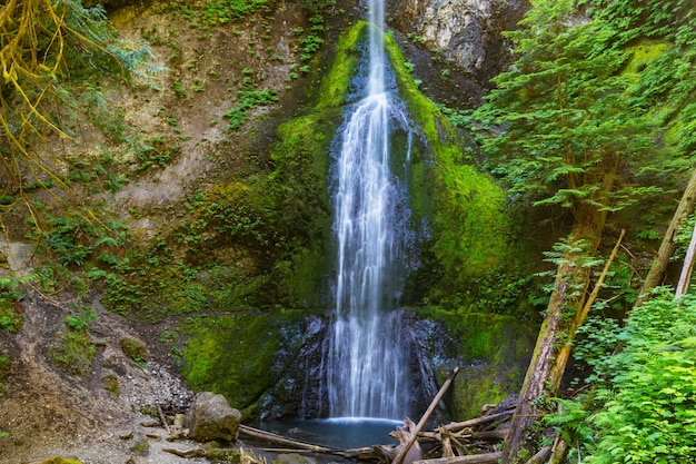 Bella cascata nell'isola di Vancouver, Canada