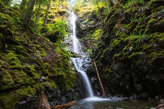 Bella cascata nell'isola di Vancouver, Canada